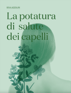 La Potatura di Salute dei Capelli